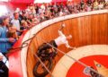 MotoGP am Sachsenring: Zehn Tipps für ein Wochenende voller Highlights