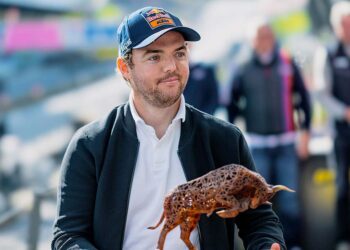 DTM – Stars and Stories vom Red Bull Ring