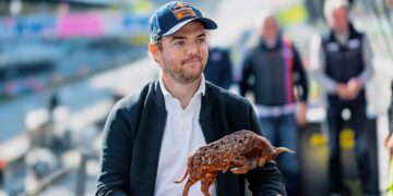 DTM – Stars and Stories vom Red Bull Ring