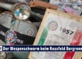 MOTOR TV22 : Der Wespenschwarm vom Vespa-Club „Nido di Vespe“ beim Rossfeld Bergrennen 2024