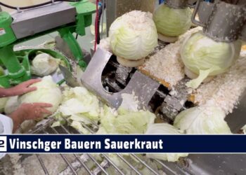 Garagenschätze mit Mehrwert: Vinschger Bauern Sauerkraut bei der Garage von Kevin Lechner