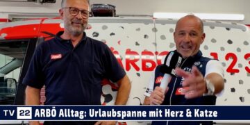 Geschichten aus dem ARBÖ Alltag: Die wohl tierischste Panne – Kätzchen findet ein neues Zuhause